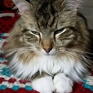 Meet your Posher, Patti